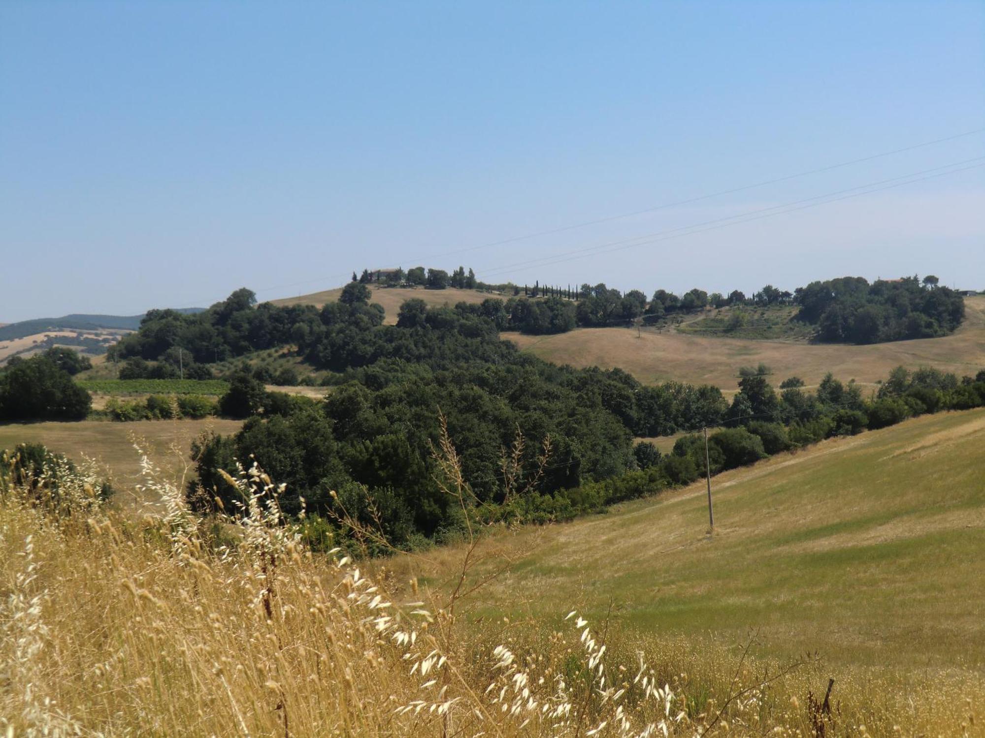 Agriturismo Cavallin Del Bufalo มันชาโน ภายนอก รูปภาพ